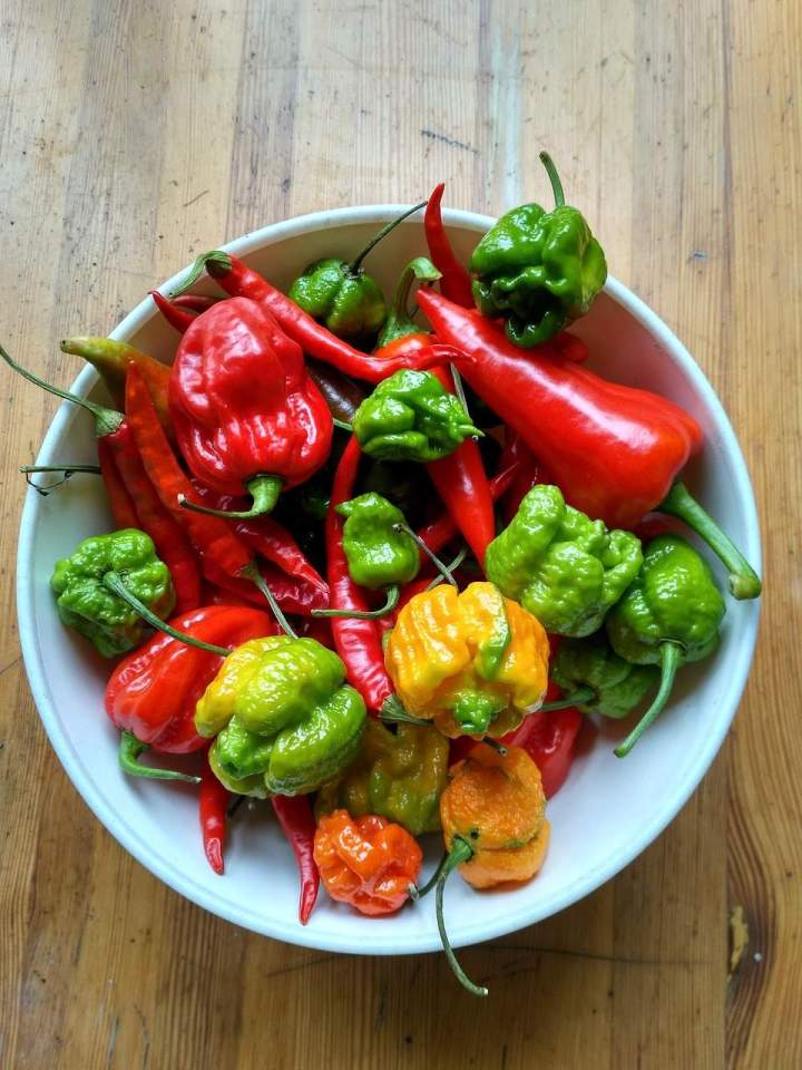 Piments